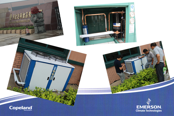 制冷壓縮機(jī) 制冷壓縮機(jī)