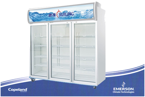 立式冷柜 立式冷柜