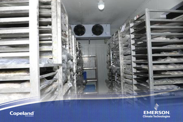 冷庫建設(shè) 冷庫建設(shè)