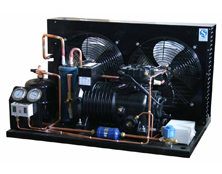 制冷機(jī)組|谷輪半封閉壓縮機(jī)系列風(fēng)冷冷凝機(jī)組 制冷機(jī)組|谷輪半封閉壓縮機(jī)系列風(fēng)冷冷凝機(jī)組